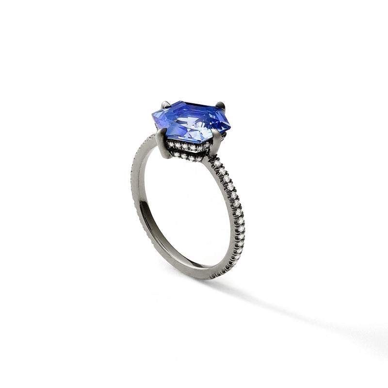 The Hero Sapphire Compass - 2.67CT